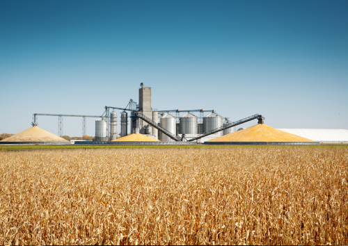 Agriculture & Commodities